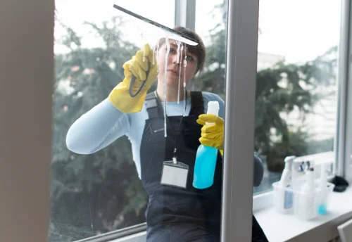 Nettoyage de vitres intérieures et extérieures à Velaines